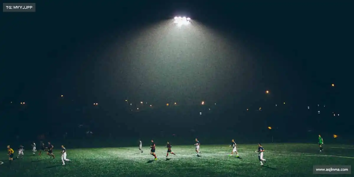 mksport体育——❄️雪车疾驰,冰轨流星!